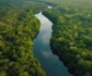 Hasta el 47 % de los bosques amazónicos podrían sufrir alternaciones irreversibles y desaparecer en 2050