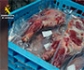 La Guardia Civil interviene casi 7 toneladas de carnes y productos cárnicos no aptos para el consumo humano 
