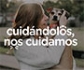 El Colegio de Veterinarios de Madrid, con el patrocinio de la Comunidad de Madrid, lanza la segunda fase de la campaña 'Cuidándolos, nos cuidamos', destacando la lucha contra el abandono de mascotas