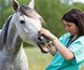 Novedades en la información de los medicamentos veterinarios antiparasitarios en Europa