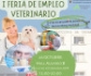 La facultad de veterinaria de la UCM organiza la primera 'Feria de Empleo Veterinario', con la colaboración de COLVEMA