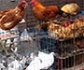 Un hombre infectado por gripe aviar H5N6 está en estado crítico en China