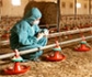 Aumento en los brotes de influenza aviar notificados en todo el mundo del 2013 al 2022