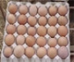 El Ministerio de Agricultura, Pesca y Alimentación aprueba la nueva extensión de norma del huevo y sus productos