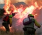 Los incendios forestales superan por primera vez al maltrato animal y se sitúan a la cabeza de los delitos perseguidos por el SEPRONA en Castilla y León