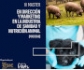 La VI edición del Máster en Dirección y Marketing de la Industria de Sanidad Animal comenzará en octubre