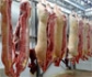 Españoles estudian un novedoso método para reducir salmonela en canales porcinas