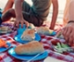 Diez consejos  de seguridad alimentaria para un pícnic seguro y perfecto