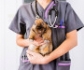 El 80% de los veterinarios cree que los propietarios no cubren las necesidades de las mascotas exóticas, que requieren cuidados especiales y atención sanitaria experta