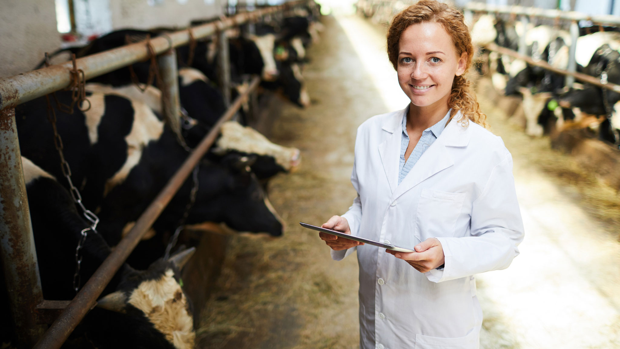 JORNADA INFORMATIVA: ¿CÓMO CONOCER LA LEGISLACIÓN SOBRE PROTECCIÓN ANIMAL, QUÉ NOS AFECTA COMO VETERINARIOS?