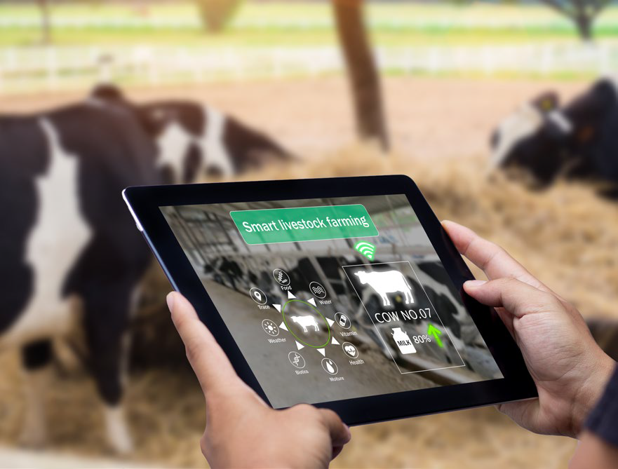 WEBSEMINAR: TRANSFORMACION DIGITAL, BIG DATA E INTERNET DE LAS COSAS. OPORTUNIDADES PARA LOS VETERINARIOS