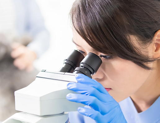 CURSO ONLINE CON EXPERTO: PRUEBAS DIAGNÓSTICAS Y ALTERACIONES DE LOS RESULTADOS DE LABORATORIO EN ENFERMEDADES INFECCIOSAS TRANSMITIDAS POR VECTORES CANINAS Y FELINAS Y ENFERMEDADES VÍRICAS FELINAS
