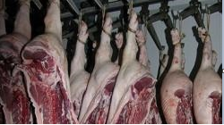 ACTUACIONES EN MATADEROS Y SALAS DE CAZA. BIENESTAR ANIMAL EN EL SACRIFICIO