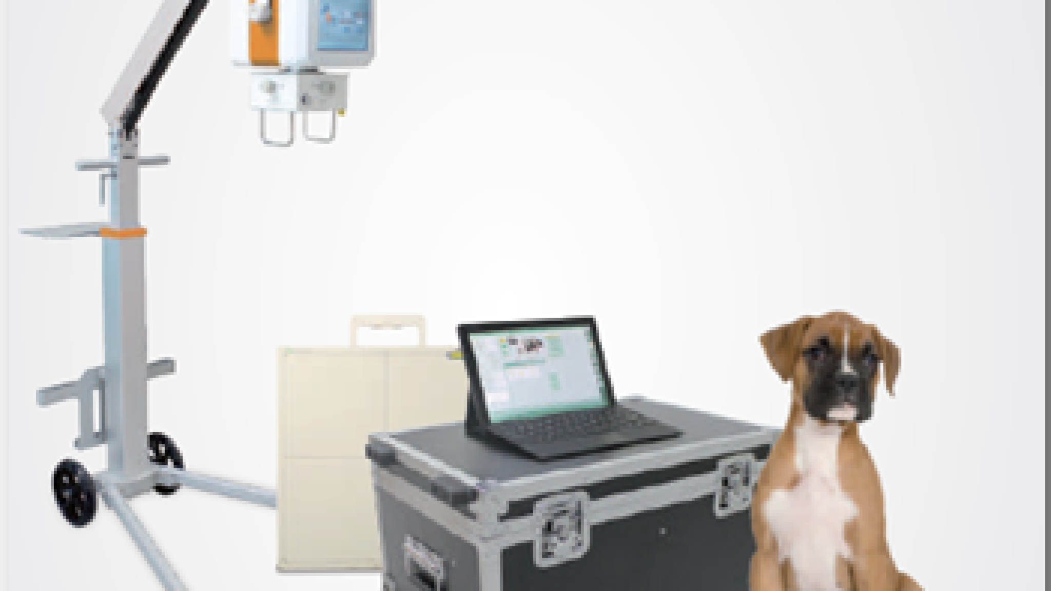 I EDICIÓN SEMIPRESENCIAL CURSO DIRECTOR INSTALACIONES DE RADIODIAGNÓSTICO VETERINARIO