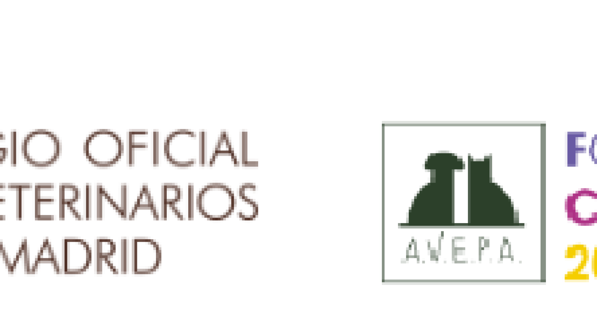 CURSO PRESENCIAL: ACTUALIZACIÓN EN MEDICINA FELINA_SEMINARIO COORGANIZADO POR EL COLEGIO DE VETERINARIOS DE MADRID Y AVEPA