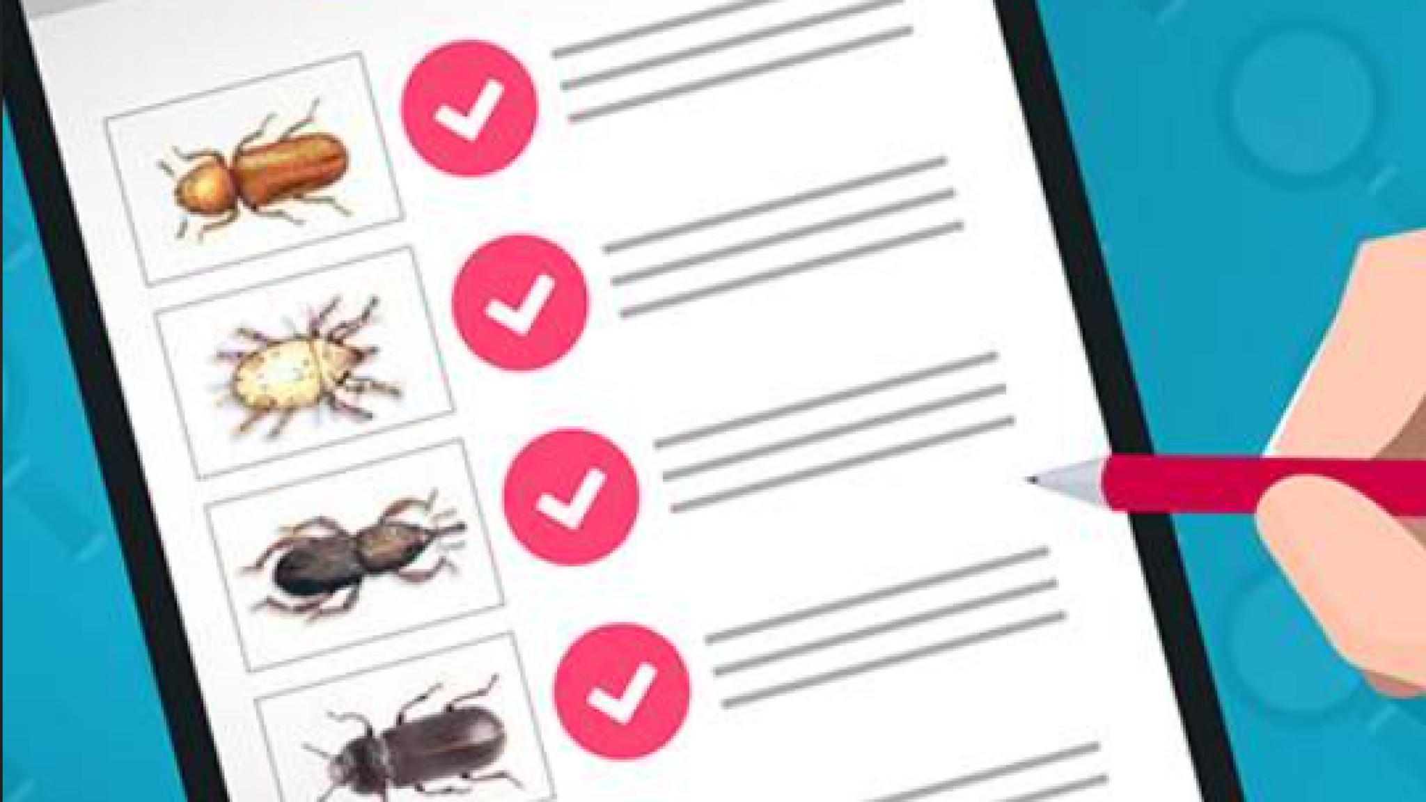 CURSO PRESENCIAL: GESTIÓN Y CONTROL DE PLAGAS PARA VETERINARIOS