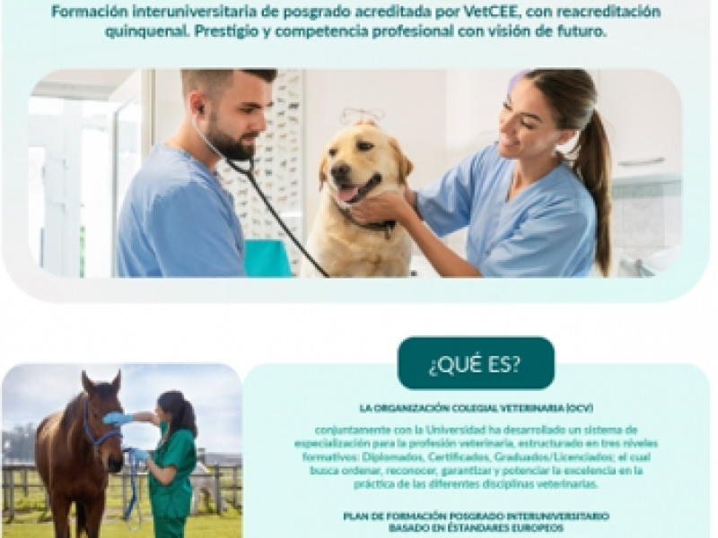 Jornada Informativa Presencial: El proyecto de especialización veterinaria del Consejo General de Veterinarios (OCV)