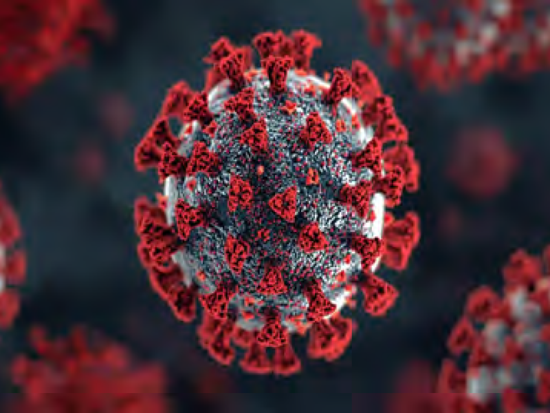 WEBSEMINAR OCV: INFLUENZA AVIAR H5N1: SITUACIÓN ACTUAL Y RIESGOS PARA LA SANIDAD ANIMAL Y LA SALUD PÚBLICA