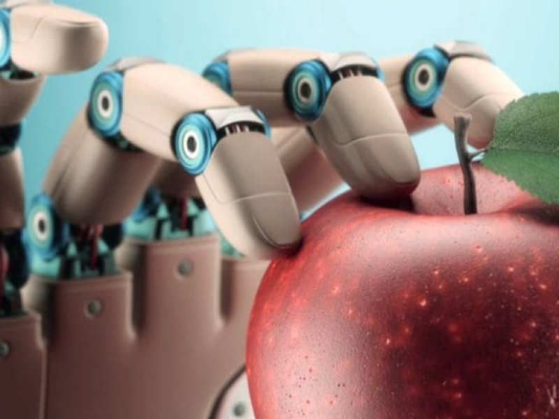 Curso Online OCV: Veterinaria 4.0: aplicaciones de la Inteligencia Artificial en producción y seguridad alimentaria