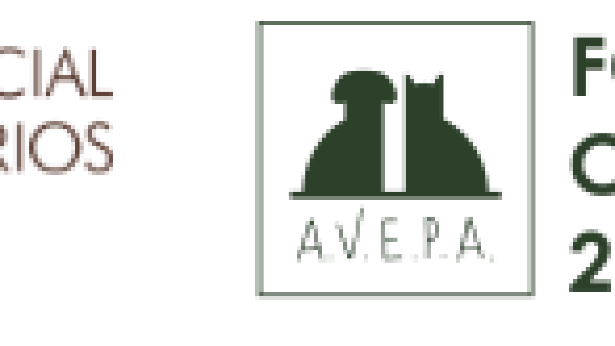 Jornada Presencial Actualización en diagnóstico y tratamiento de tumores frecuentes en pequeños animales - coorganizado con AVEPA