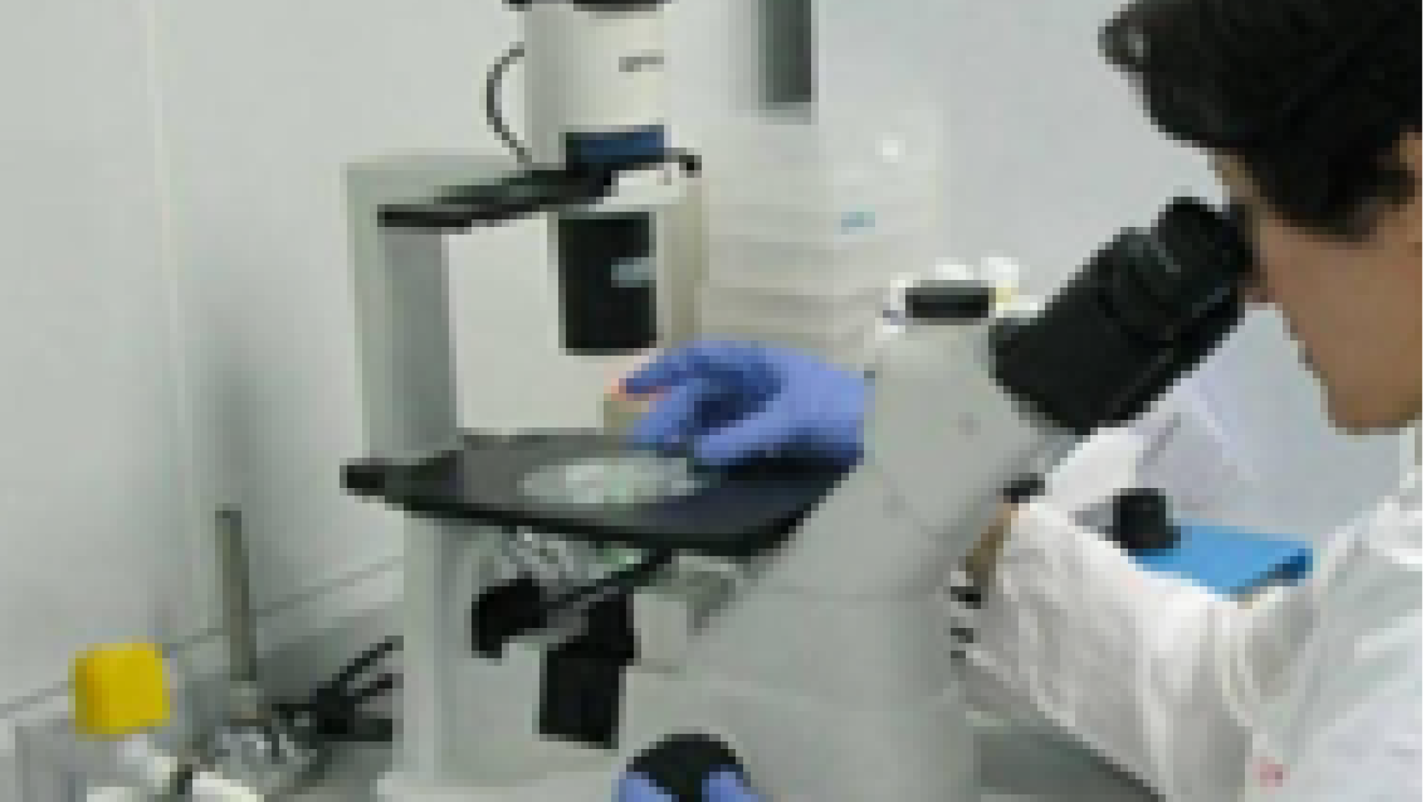 Seminario hibrido (presencial y/o online): Diseño de estudios en investigación (II)