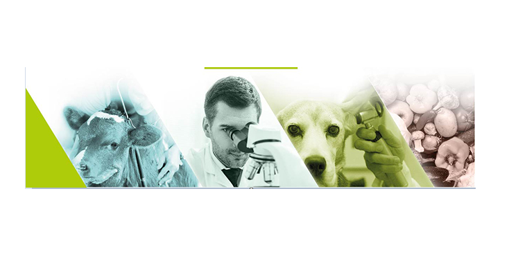PRESENTACIÓN DE LA NUEVA IDENTIDAD VISUAL CORPORATIVA DEL COLEGIO DE VETERINARIOS DE MADRID