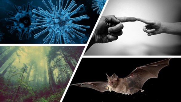 WEBSEMINAR: LA PRÓXIMA PANDEMIA SERÁ ZOONÓTICA O NO SERÁ