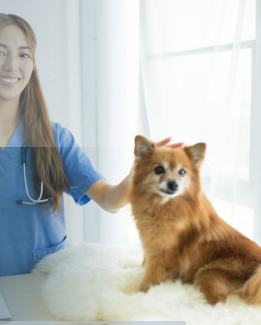WEBSEMINAR: EL DIAGNOSTICO DIFERENCIAL EN ETOLOGIA: TODO UN RETO