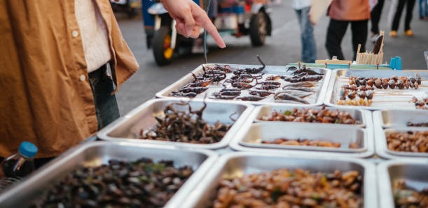 Jornada PRESENCIAL sobre insectos comestibles