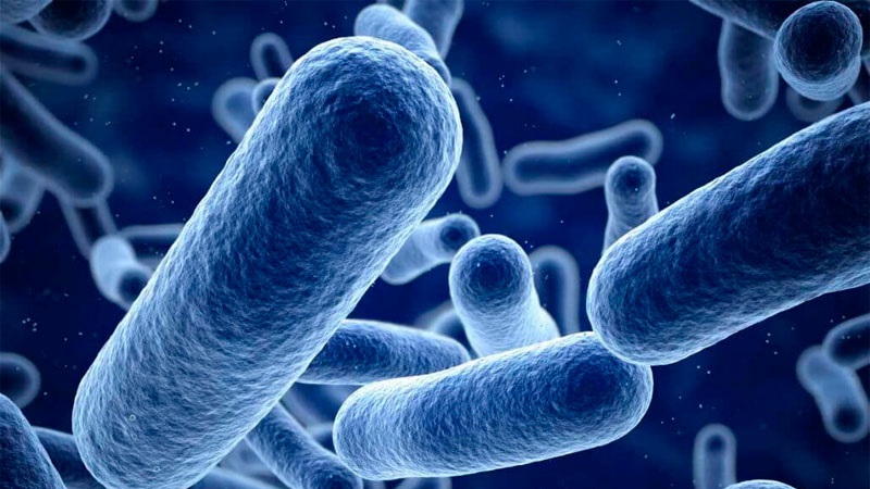 JORNADA DE ACTUALIZACIÓN TECNOLOGICA SOBRE LISTERIA MONOCYTOGENES