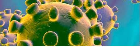 WEBSEMINAR: ASPECTOS VETERINARIOS EN LA PANDEMIA DEL CORONAVIRUS COVID-19