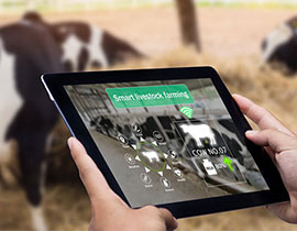JORNADA ONLINE: OPORTUNIDADES PARA LA PROFESIÓN VETERINARIA ANTE EL RETO MEDIOAMBIENTAL Y LA DIGITALIZACIÓN