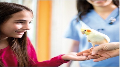 WEBSEMINAR: LAS AVES Y LOS REPTILES EN LA CLÍNICA GENERALISTA DE MASCOTAS 