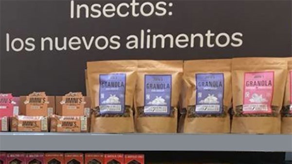 JORNADA FORMATIVA: INSECTOS COMESTIBLES