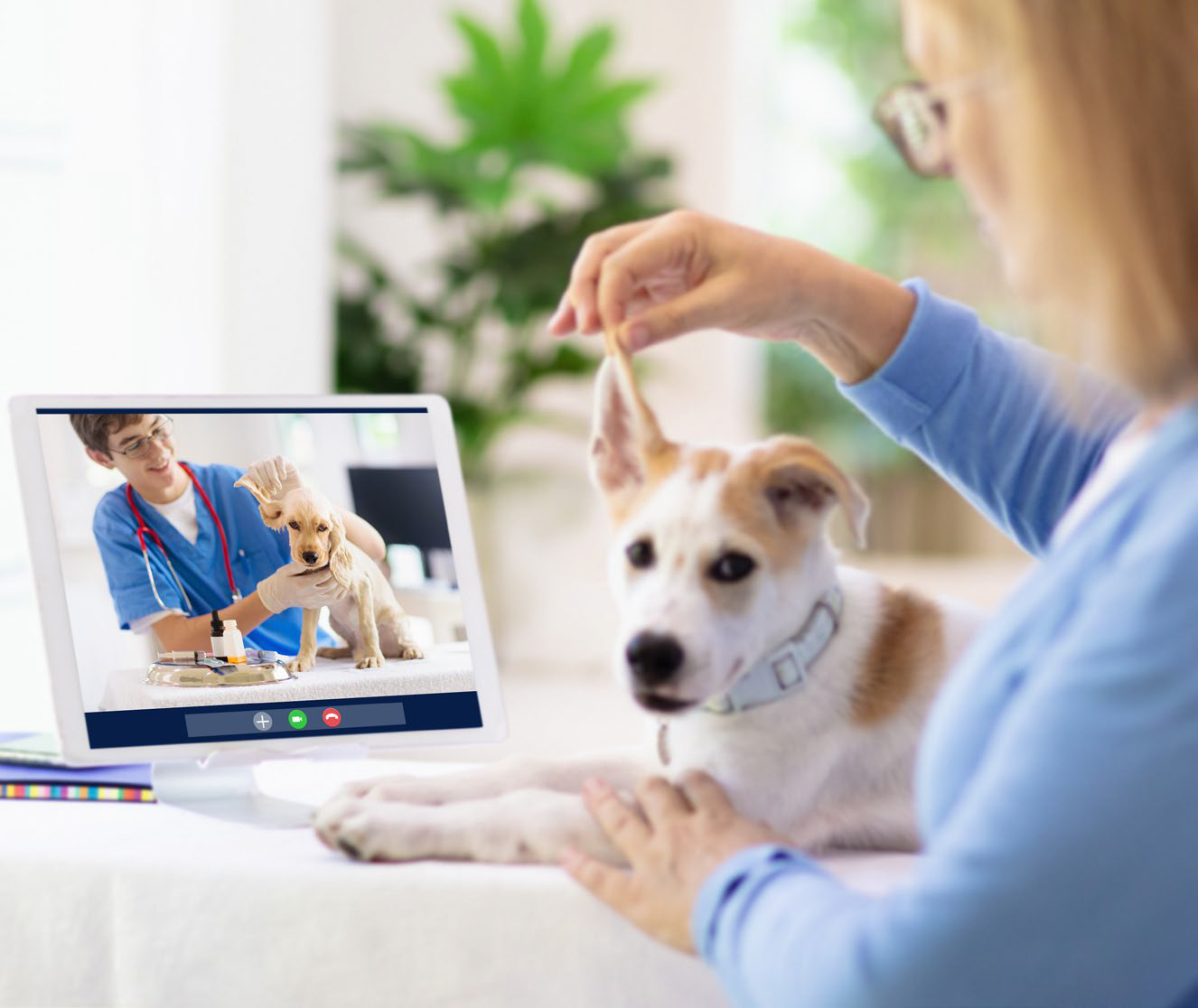 WEBSEMINAR: TELEMEDICINA VETERINARIA: USOS Y MEJORA DE LA RENTABILIDAD DE TU CLÍNICA