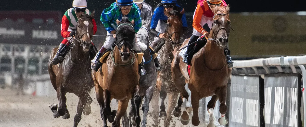 Visita de Carreras en el Hipódromo de la Zarzuela 06.04.2025-10:00h