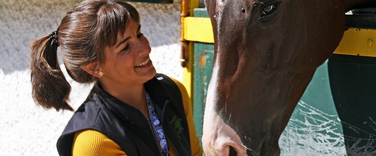 Visita guiada al Hipódromo de la Zarzuela - entrenamiento 08.03.2026-9:30