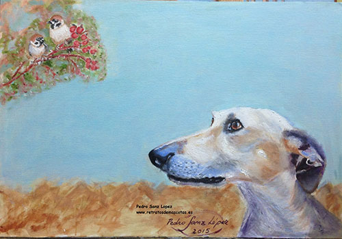 Resultado de imagen para veterinaria pinturas