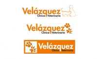 CLÍNICA VETERINARIA VELAZQUEZ_190754