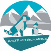 C. NORTE VETERINARIOS MEDICO QUIRÚRGICO S.L.