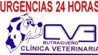Clinica Veterinaria Butragueño