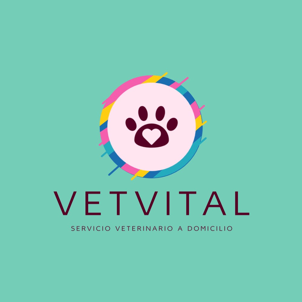 VETHOME MEDICINE S.L