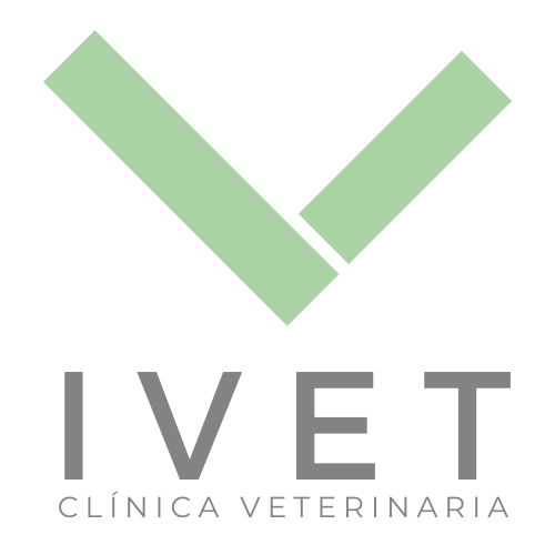 IVET ARAVACA