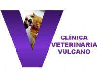 CLÍNICA VETERINARIA VULCANO 