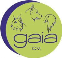 GAIA CV