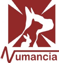 Clínica Veterinaria NUMANCIA 
