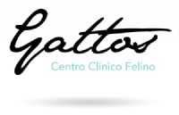 GATTOS, Centro Clínico Felino