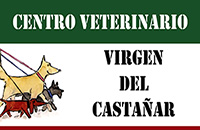 VIRGEN DEL CASTAÑAR, Centro Veterinario
