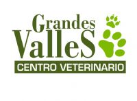 CV GRANDES VALLES