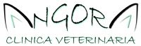 CV ANGORA (MARGARITA)